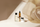 SÉRA bottles and tubes on a white surface beside a cream rose