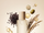 SÉRA bottle surrounded by rice, oats and dried botanicals